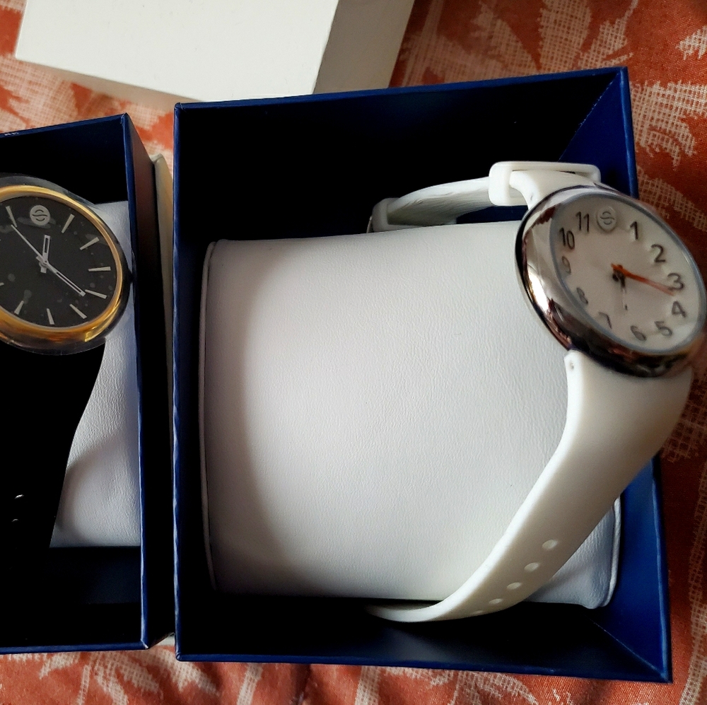 Philip  Stein watch